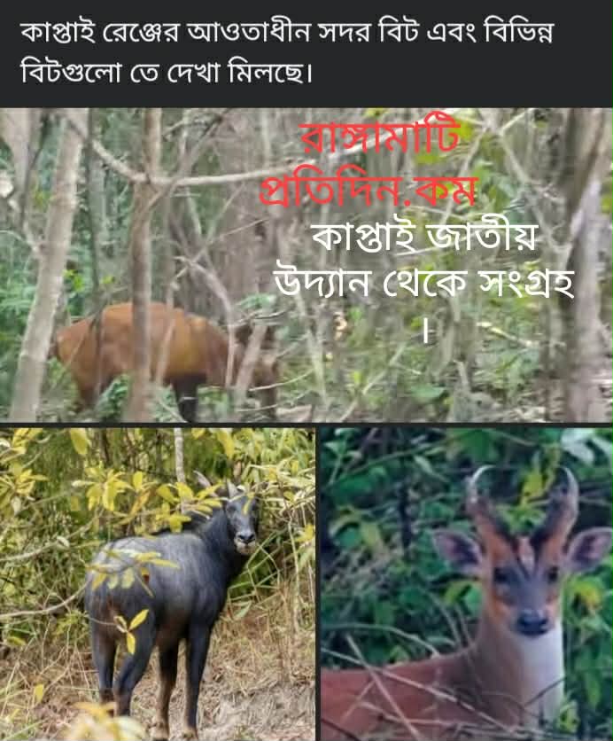 প্রধান বন সংরক্ষক নিয়ে কিছু কথা-বন অধিদপ্তরের সর্বোচ্চ প্রশাসনিক পদ